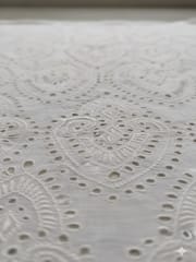 Natural Colour Dyeable Panta Floral Pattern Schiffli Embroidered Fabric