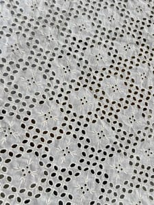 Natural Colour Dyeable Panta Floral Pattern Schiffli Embroidered Fabric