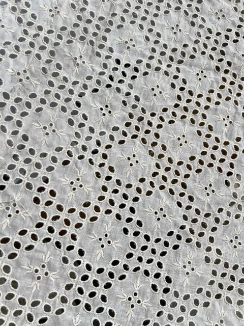 Natural Colour Dyeable Panta Floral Pattern Schiffli Embroidered Fabric