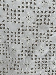 Natural Colour Dyeable Panta Floral Pattern Schiffli Embroidered Fabric