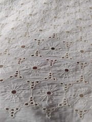 Natural Colour Dyeable Panta Floral Pattern Schiffli Embroidered Fabric