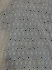 Natural Colour Dyeable Panta Floral Pattern Schiffli Embroidered Fabric
