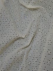 Natural Colour Dyeable Panta Floral Pattern Schiffli Embroidered Fabric