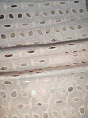 Natural Colour Dyeable Panta Floral Pattern Schiffli Embroidered Fabric