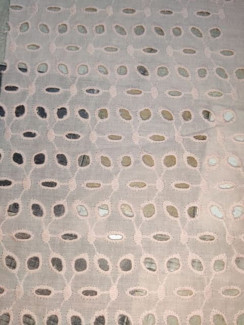 Natural Colour Dyeable Panta Floral Pattern Schiffli Embroidered Fabric