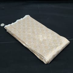 Dyeable Pure Brocade Silk Fabric