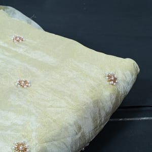 Dyeable Tissue Upada Beads Embroidered Fabric