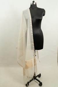 Off White Dyeable Chanderi Dupatta with Golden Border – Elegant & Versatile