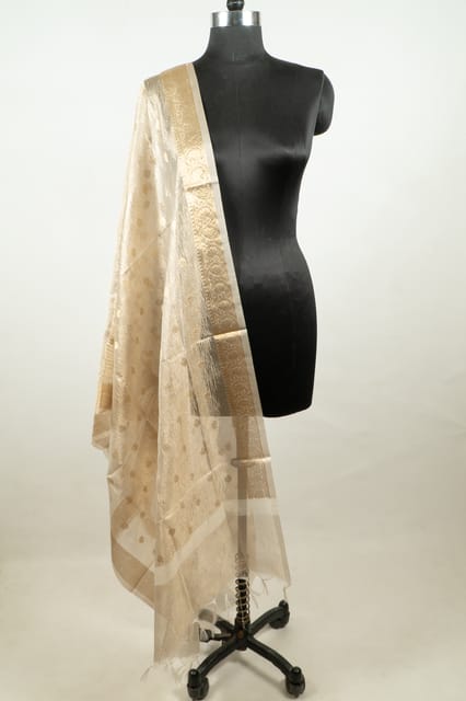 Dyeable Tissue Dupatta with Golden border