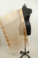 Dyeable Tissue Dupatta with Golden border
