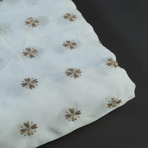 Dyeable Chinon Chiffon Embroidered Fabric (1Meter Cut piece)