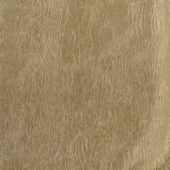 Gold Color Tissue Crush Fabric