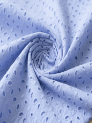 Pastel Blue six hole Pattern Schiffli Embroidered Fabric