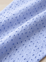 Pastel Blue six hole Pattern Schiffli Embroidered Fabric