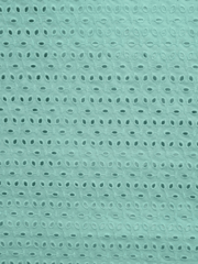 Seagreen six hole Pattern Schiffli Embroidered Fabric