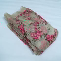 Beige Color Pure Organza Embroidered Fabric