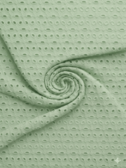 Mint Green six hole Pattern Schiffli Embroidered Fabric