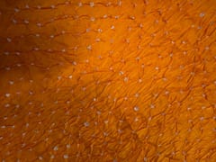 Orange Bandhani Modal Satin Fabric