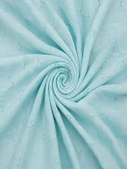 Light Blue Wardrobe Pattern Schiffli Embroidered Fabric