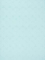 Light Blue Wardrobe Pattern Schiffli Embroidered Fabric