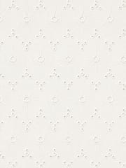 Off white floral eyelet Schiffli Embroidered Fabric