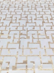 White Dyeable Net Fabric With Sequins Work