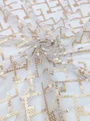 White Dyeable Net Fabric With Sequins Work