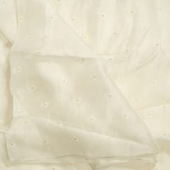 Dyeable Viscose Organza Embroidered Fabric