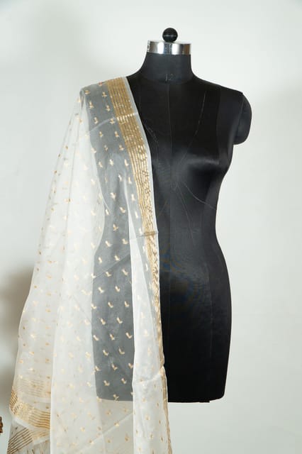 Off White Dyeable Organza Dupatta with Golden Border – Elegant & Versatile