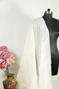 Dyeable Chanderi Embroidered Dupatta