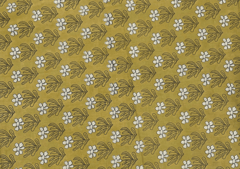 Printed Cotton Cambric Mustard White Flowers