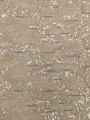 Pale Gold Viscose Shimmer Tissue Fabric With Sequins & Bead Embroidery Work