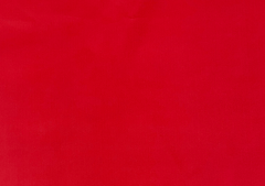 Sandwich White Red Dual Colour