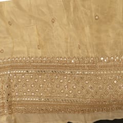 Dyeable Tissue Organza Embroidered Fabric