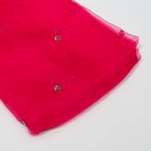 Rani Color Pure Organza Embroidered Fabric
