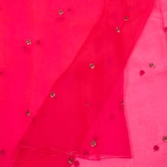Rani Color Pure Organza Embroidered Fabric