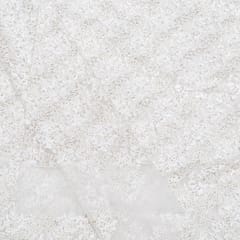 White Dyeable Net Embroidered Fabric