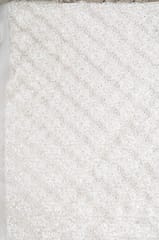 White Dyeable Net Embroidered Fabric