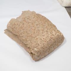 Dyeable Tissue Organza Embroidered Fabric