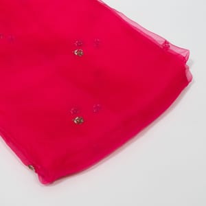 Rani Color Pure Organza Embroidered Fabric